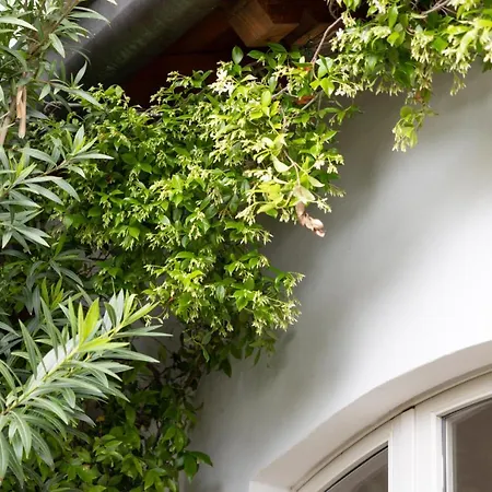 The Artist's Nest - By My In *